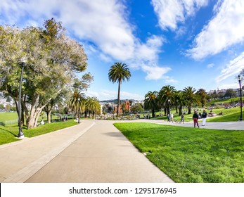 Trees In Mission Dolores Park