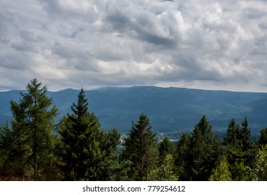 trees mountain range