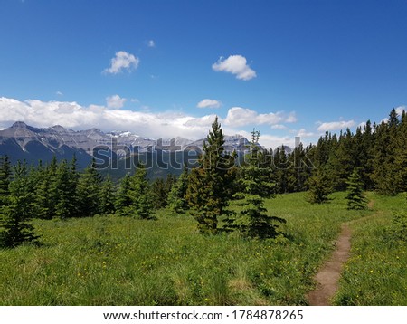Trees Mountains Mount Hoffman Alberta Canada