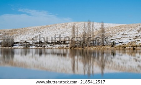 Trees and mountains reflected in Lake Clearwater in winter, Ashburton Lakes region, Canterbury. 