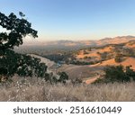 Trees in the mountains. Sunrise in the mountains. Landscape in the vicinity of the city of Concord