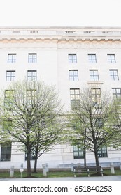 trees next to building