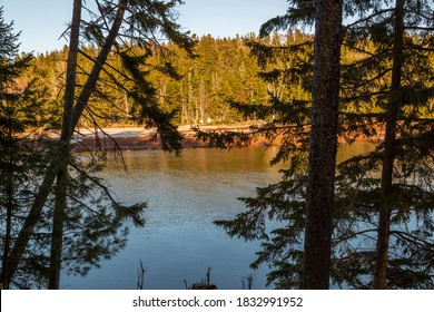 Trees next to a river in an early spring landscape during sunset at Strathgartney Provincial Park in Prince Edward Island, Canada