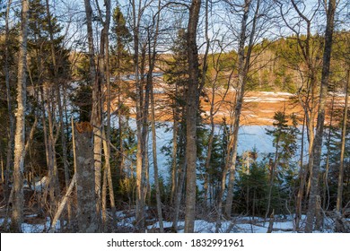 Trees next to a river in an early spring landscape in Strathgartney Provincial Park, Prince Edward Island, Canada