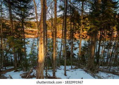 Trees next to a river in an early spring landscape in Strathgartney Provincial Park, Prince Edward Island, Canada