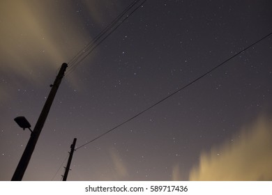 trees at night