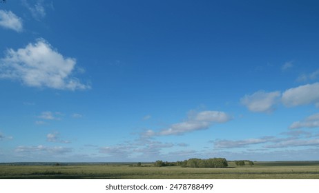 Trees on a autumn meadow against sky with clouds. Trees growing in the grassland at daytime with clouds. Timelapse. - Powered by Shutterstock