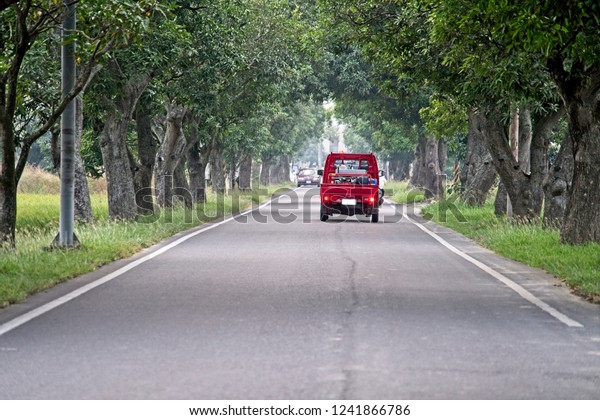 Trees on both\
sides have a red car in the\
road