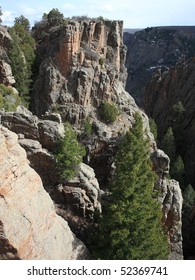 Árboles en el acantilado del cañón negro en Colorado