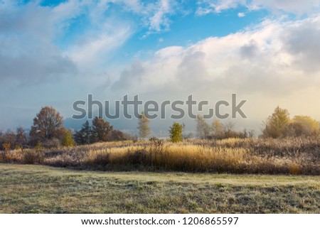 Similar – Image, Stock Photo autumn magic Environment