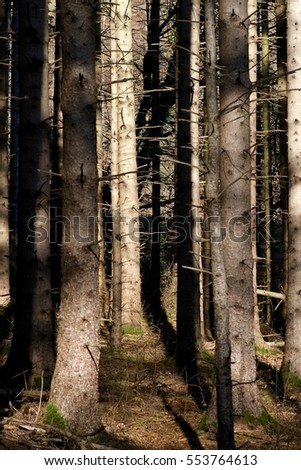 Similar – Foto Bild Sauerland Umwelt Natur