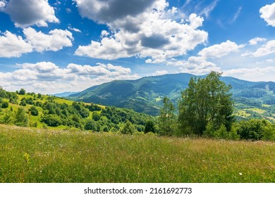 trees on a grassy field in mountains. scenic rural landscape with meadow in summer. countryside scenery on a sunny day. idyllic green nature background. bright weather with white clouds on a blue sky - Shutterstock ID 2161692773