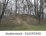 Trees on the hill