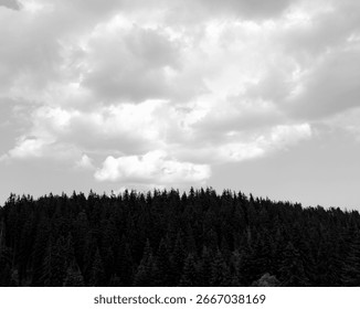 Trees on hill and dramatic cloudy sky