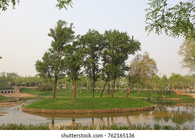 trees on the island