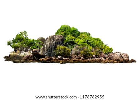The trees on the island and rocks. Isolated on White background