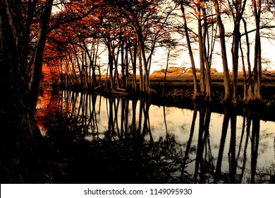 Trees On Medina River, Texas Hill Country