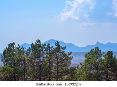 Trees on mountains background