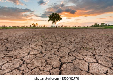 10,838 Parched land Images, Stock Photos & Vectors | Shutterstock