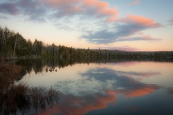 Bäume Am Ufer Des Ruhigen Sees Von Michigan Mit Rosafarbenen Und Grauen Wolken Bei Sonnenuntergang