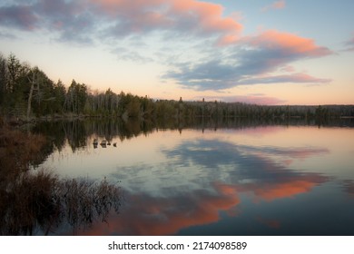 Trees on the shore of peaceful Michigan lake with pink and grey clouds at sunset