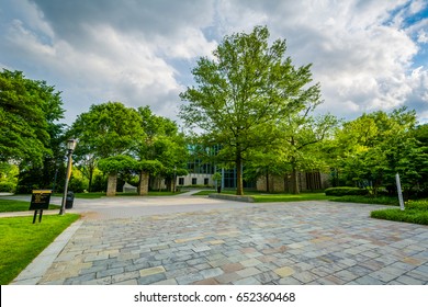 Trees And Open Space At Loyola University Maryland, In Baltimore, Maryland.