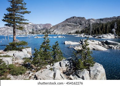 Trees overlook scenic Lake Aloha in the Sierra Nevada Range in eastern California. The beautiful lake is within the federally protected Desolation Wilderness and is on the Pacific Crest Trail.