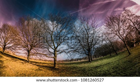 Similar – Image, Stock Photo Trees vs. storm 1 : 0