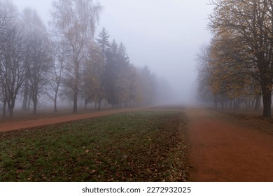 Trees in the park at the end of autumn in cloudy dreary weather, trees without foliage in late autumn and early winter - Shutterstock ID 2272932025