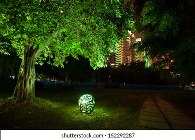 Trees In The Park At Night