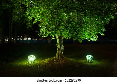 Trees In The Park At Night