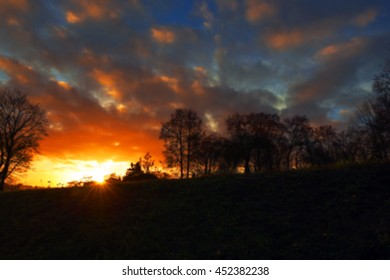trees in the park at sunset  , defocus