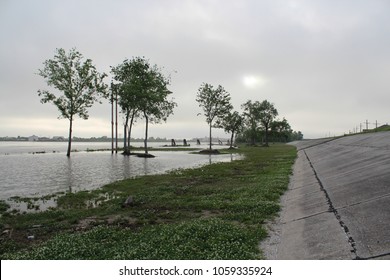 Trees peak out of the mist as flood waters rise against the levees in New Orleans, Louisiana - Shutterstock ID 1059335924