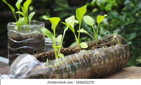 900 Plastic Bottle Plant Wall Images, Stock Photos & Vectors | Shutterstock