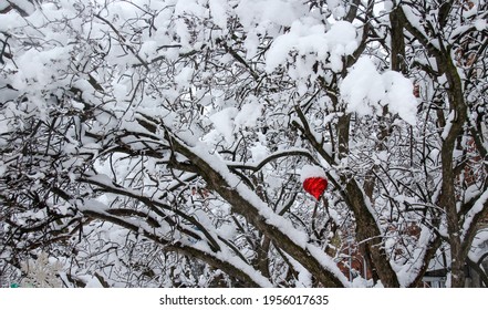 Trees And Post In Empty Streets Under A Severe Winter Storm In Montreal, Quebec, Canada