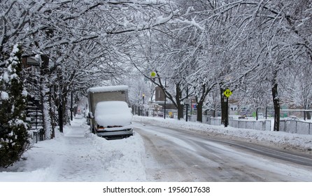 Trees And Post In Empty Streets Under A Severe Winter Storm In Montreal, Quebec, Canada