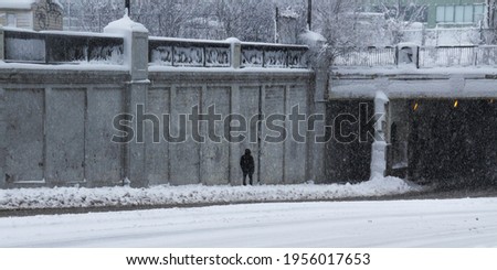 trees and post in empty streets under a severe winter storm in montreal, quebec, canada