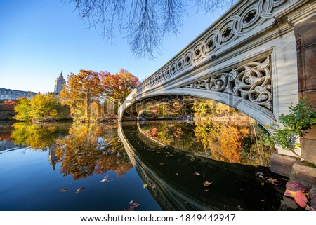 Trees reflect off the Pool in Central Park, New York City