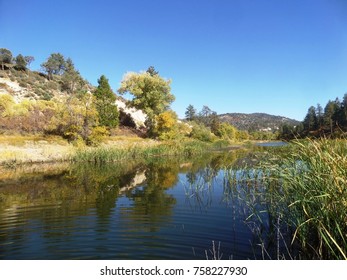 Trees reflected in Jackson Lake, CA