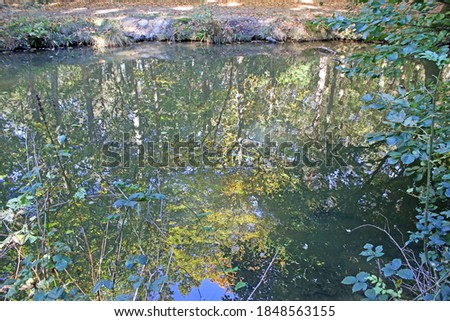 Similar – Trees and Reflection Calm