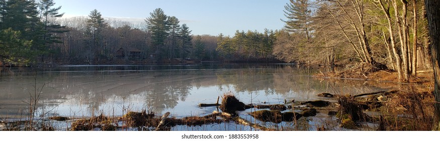 Trees Reflected In A Lake, Central Massachusetts