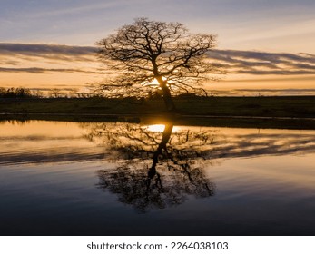 Trees reflected in the lake at sunset