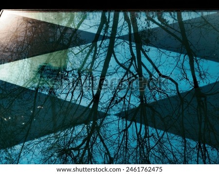 Similar – Image, Stock Photo submerged Lake Forest lake