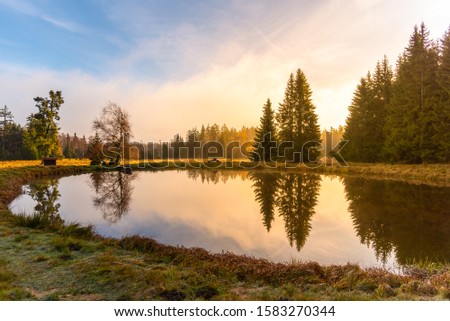 Trees reflected in the pond. Kladska peat bog National Reserve near Marianske Lazne, Czech Republic.