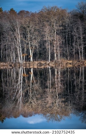 Similar – Wasserspielung Umwelt