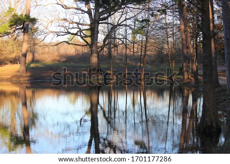 Trees reflected in water at a statepark