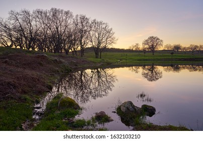 Trees reflected in the water at sunset