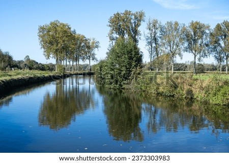 Trees reflecting in the blue water of the river Dender, Zandbergen, East Flemish Region, Belgium