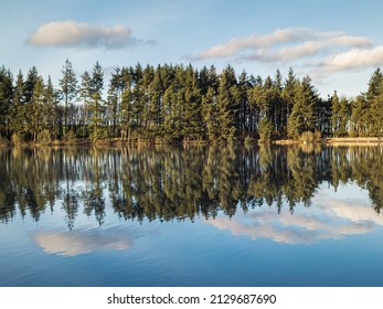 Trees Reflecting In The Lake In Beecraigs Country Park, Sotland