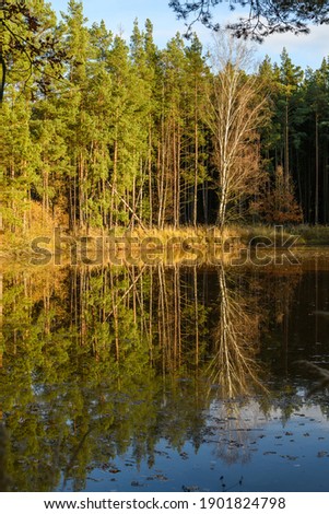 Similar – Image, Stock Photo yellow-gold treasure lake